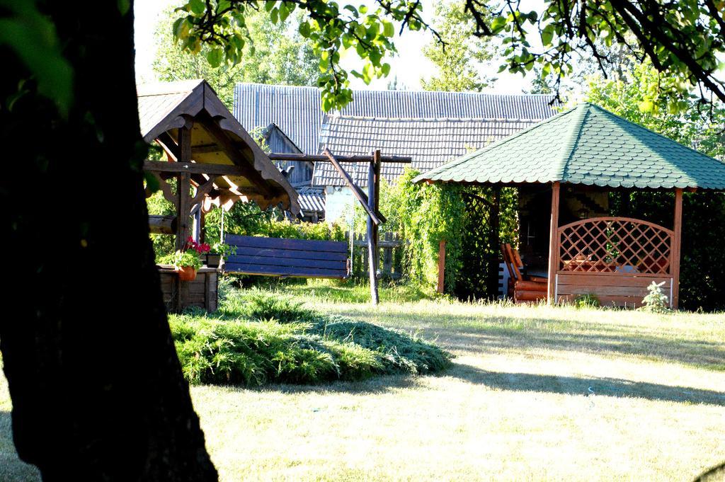 Gaja-Bialowieza Wiluki المظهر الخارجي الصورة