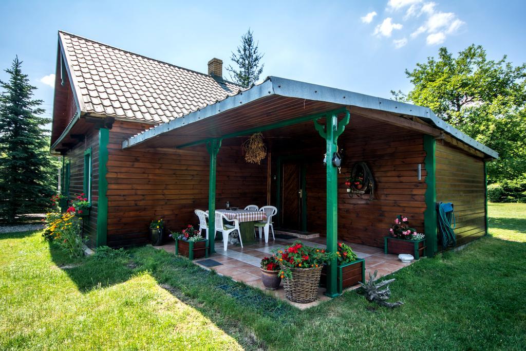 Gaja-Bialowieza Wiluki المظهر الخارجي الصورة